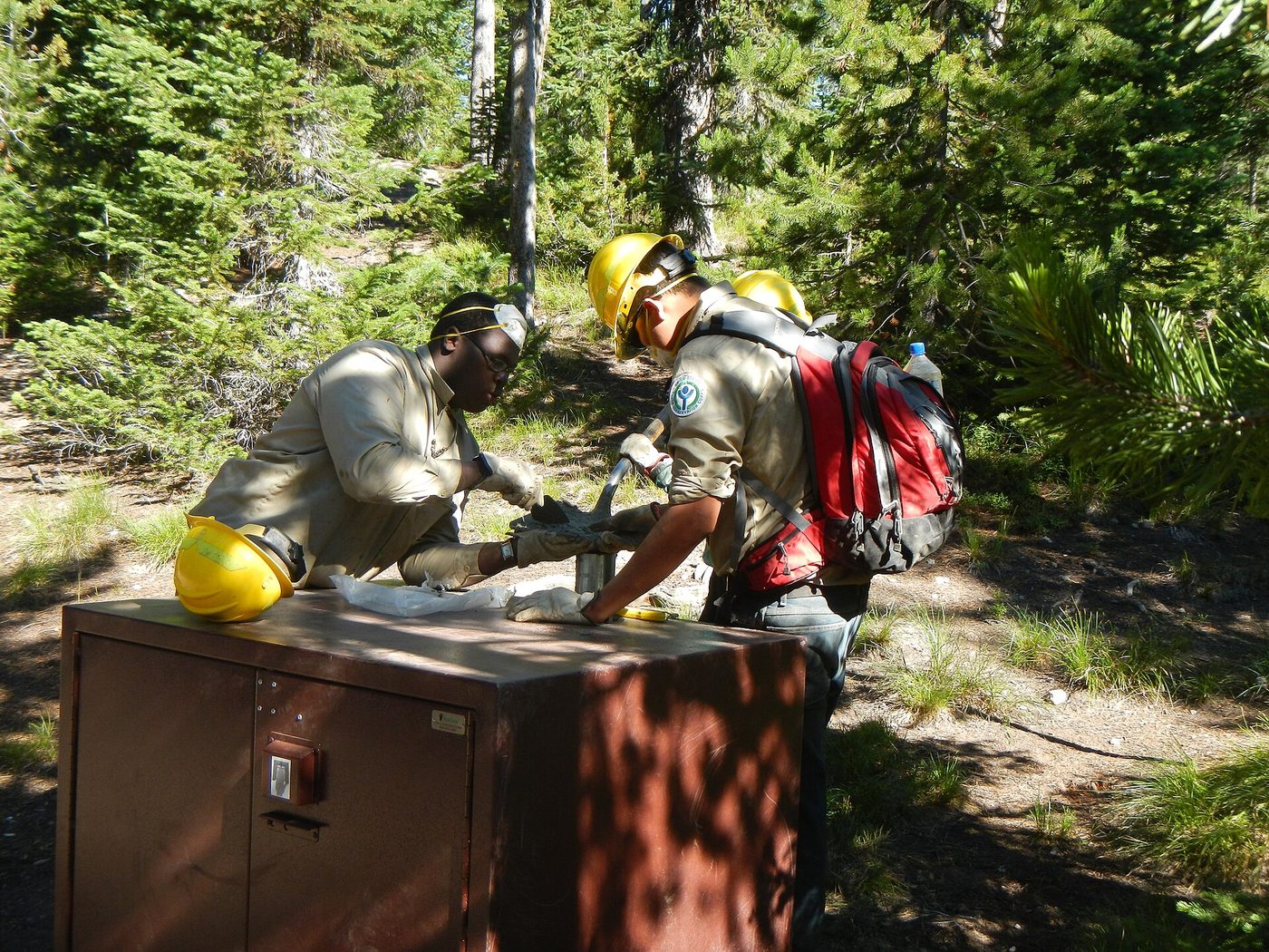 Park staff working at a brown bear-proof metal food storage box at a campsite