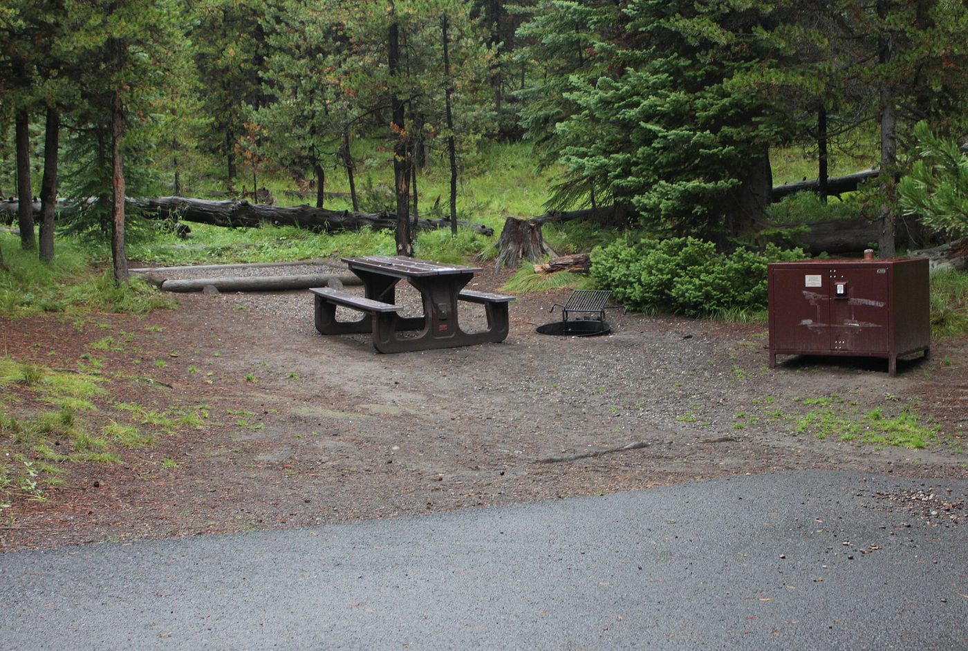 Paved campsite with picnic table and brown metal food storage box among conifers