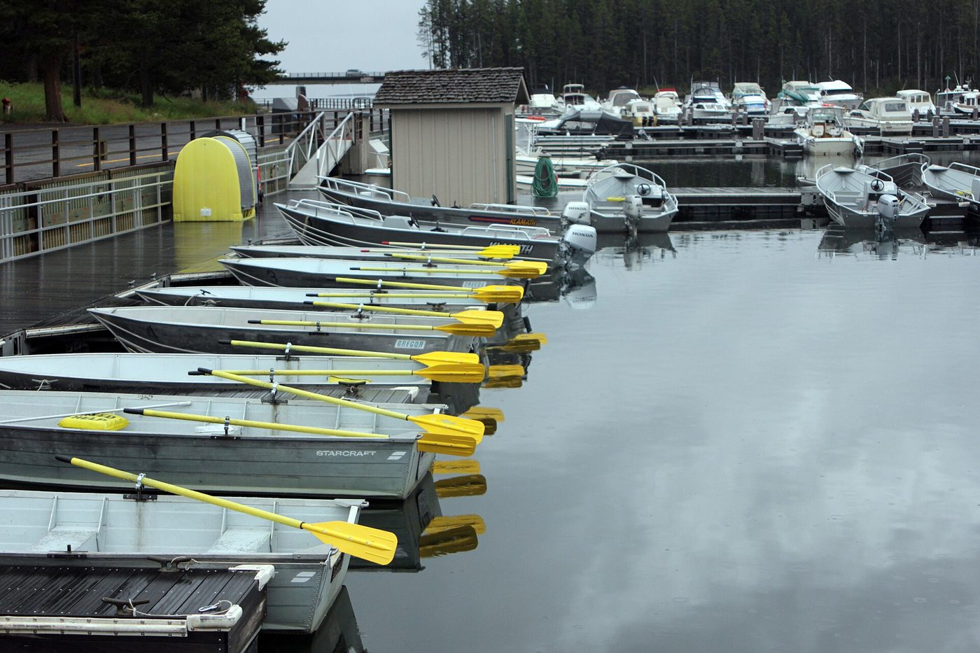 Rows of aluminum rental boats with yellow oars moored at a marina dock