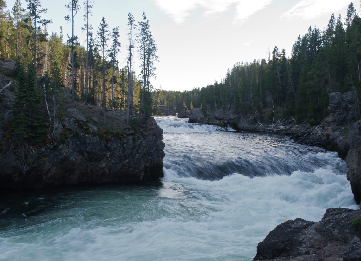 The Yellowstone River rushing toward the edge of a waterfall between forested banks