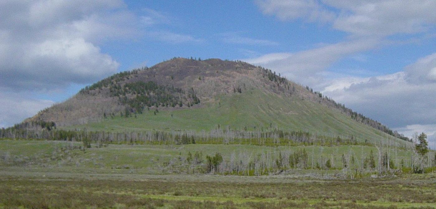 Rounded forested summit of Bunsen Peak rising above a green meadow