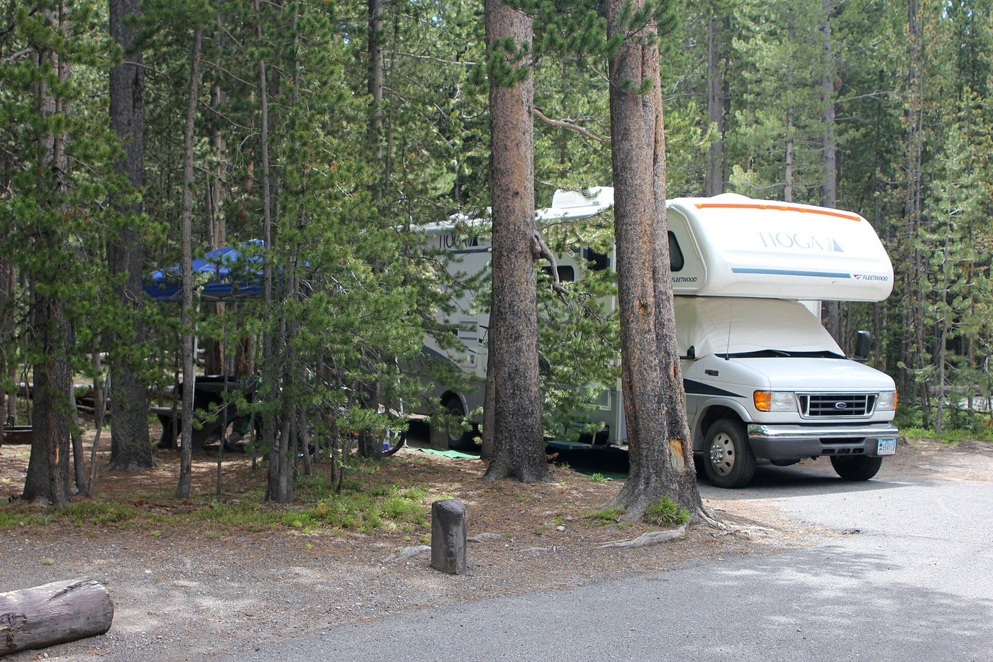 A compact Class C motorhome parked on a forested campsite at Canyon Campground