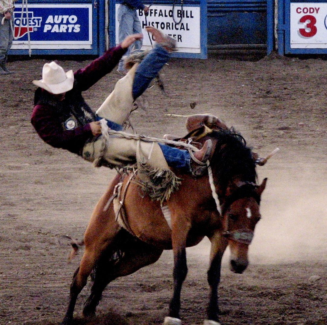 A rider being thrown from a bucking horse in the arena at the Cody Nite Rodeo