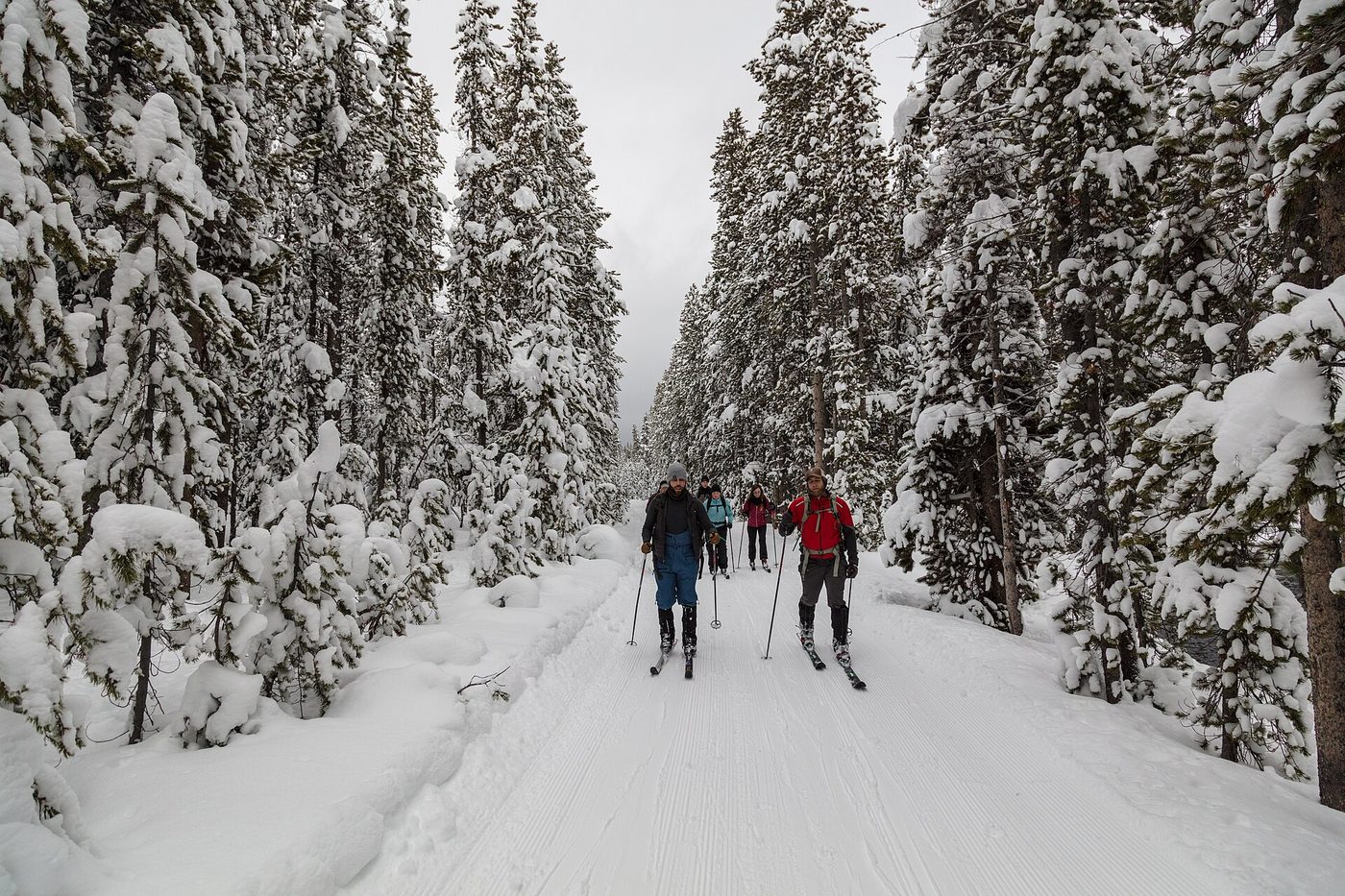 Cross-country skiers on a snowy trail through heavily frosted lodgepole pines toward Lone Star Geyser