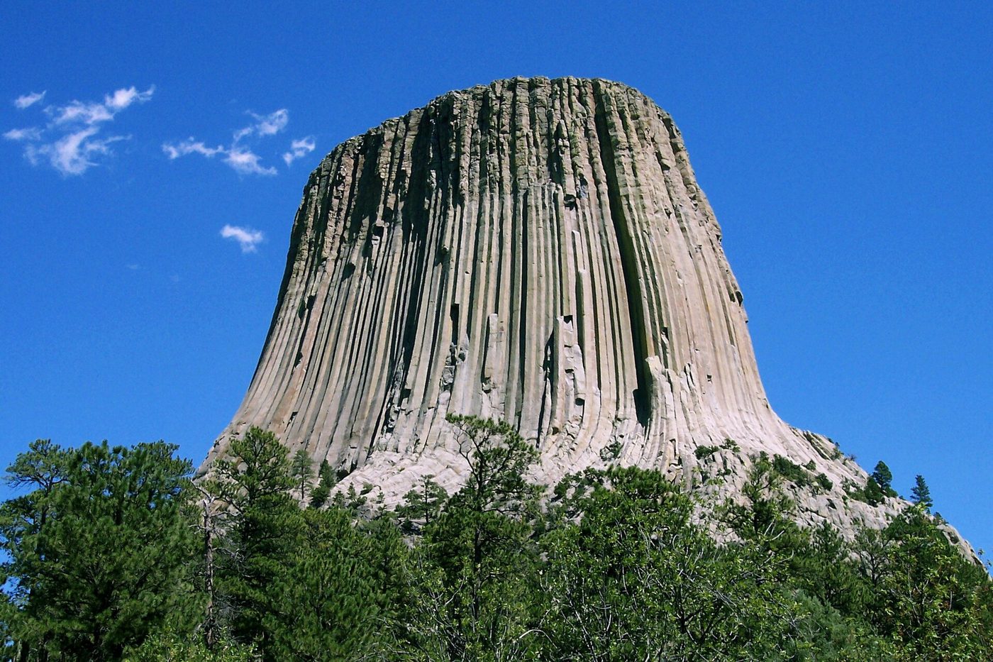 Columnar rock of Devils Tower rising above pine forest under a blue sky