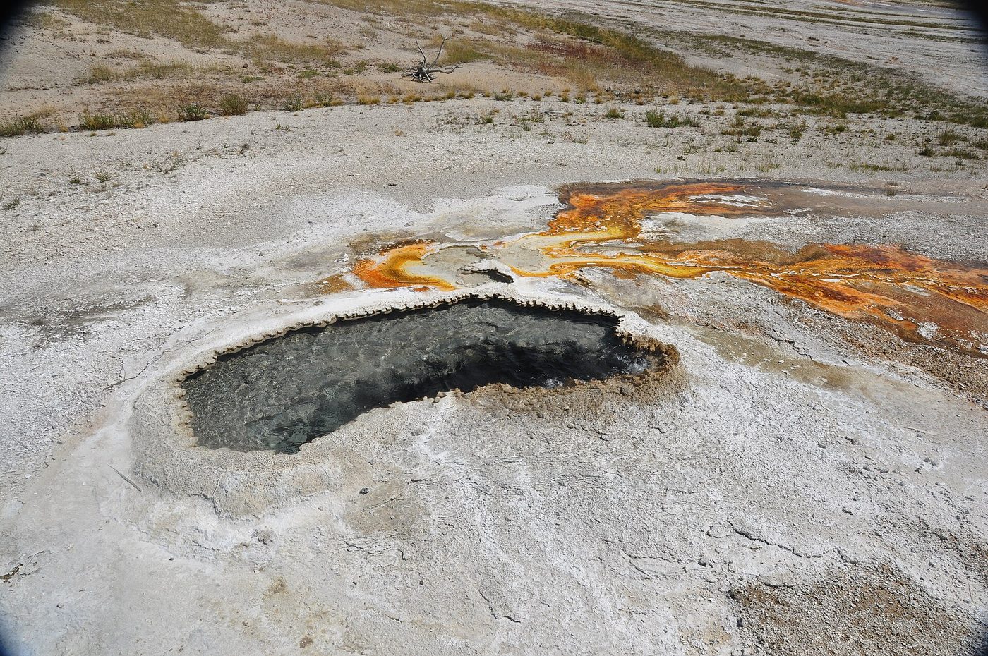 Ear Spring, a dark boiling pool edged with thin white sinter crust and orange runoff channels