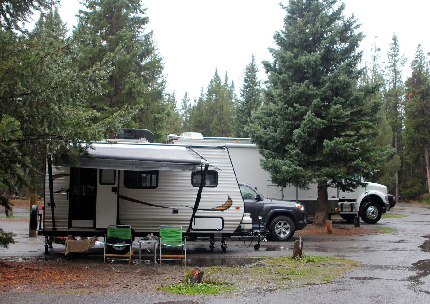 A fifth-wheel trailer and pickup truck set up on a hookup site surrounded by lodgepole pines