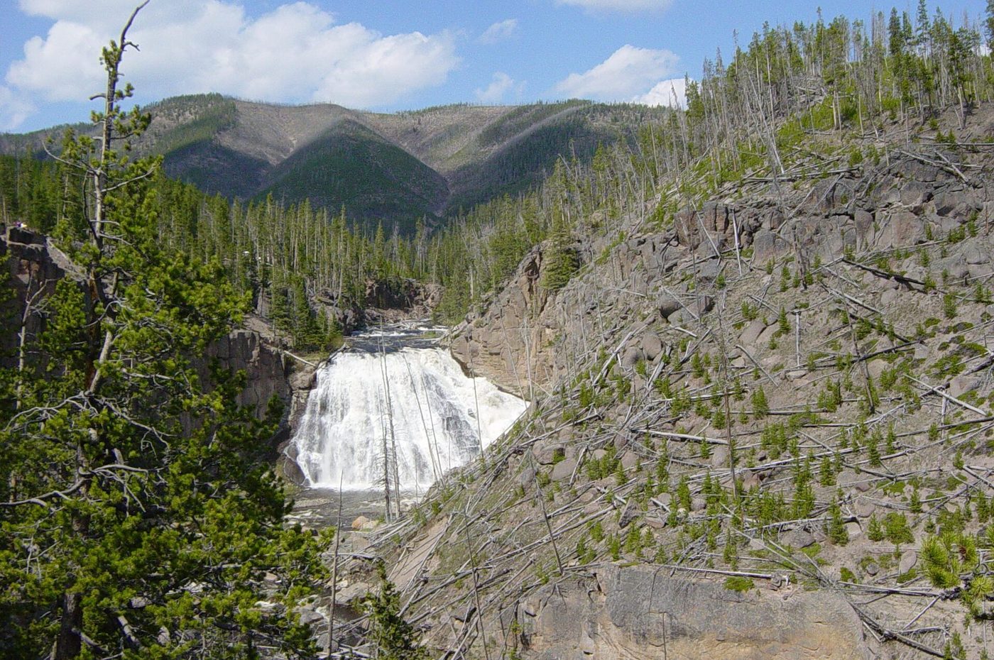 Gibbon Falls spilling down a wide rocky face below a forested slope
