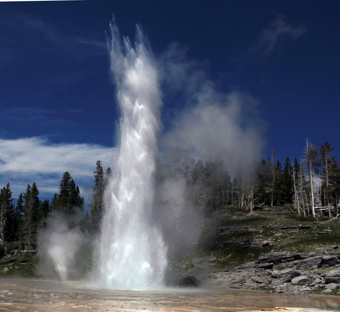 Grand Geyser shooting a tall column of water with Vent Geyser erupting beside it