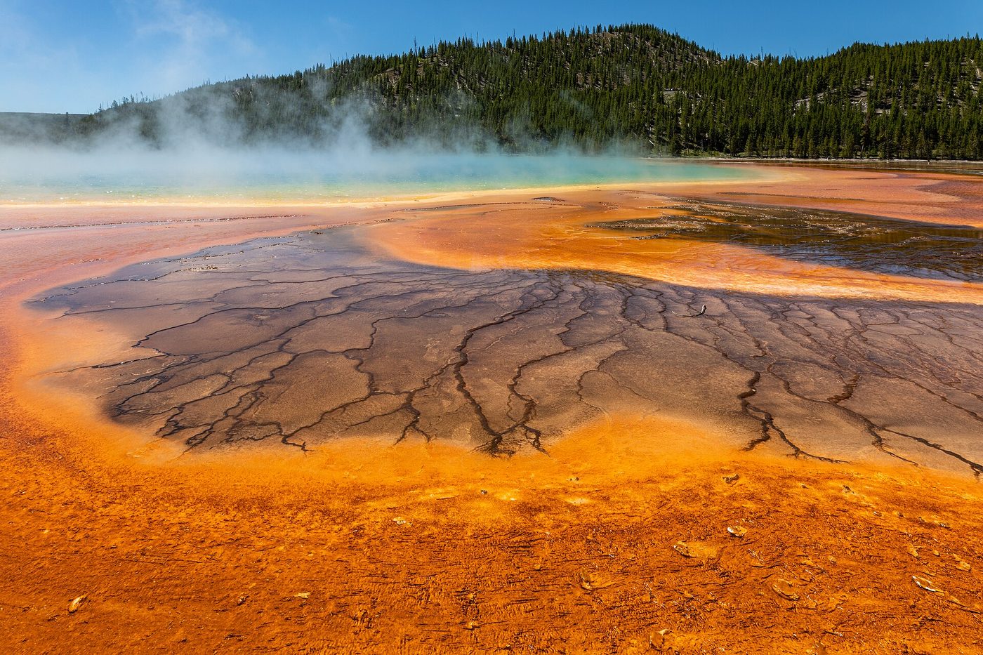 Steam drifting across the orange bacterial mats and blue water of Grand Prismatic Spring