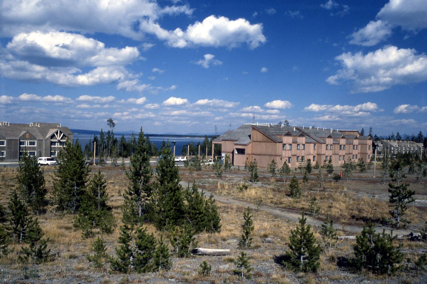 Two-story lodge buildings at Grant Village among young lodgepole pines, with Yellowstone Lake beyond