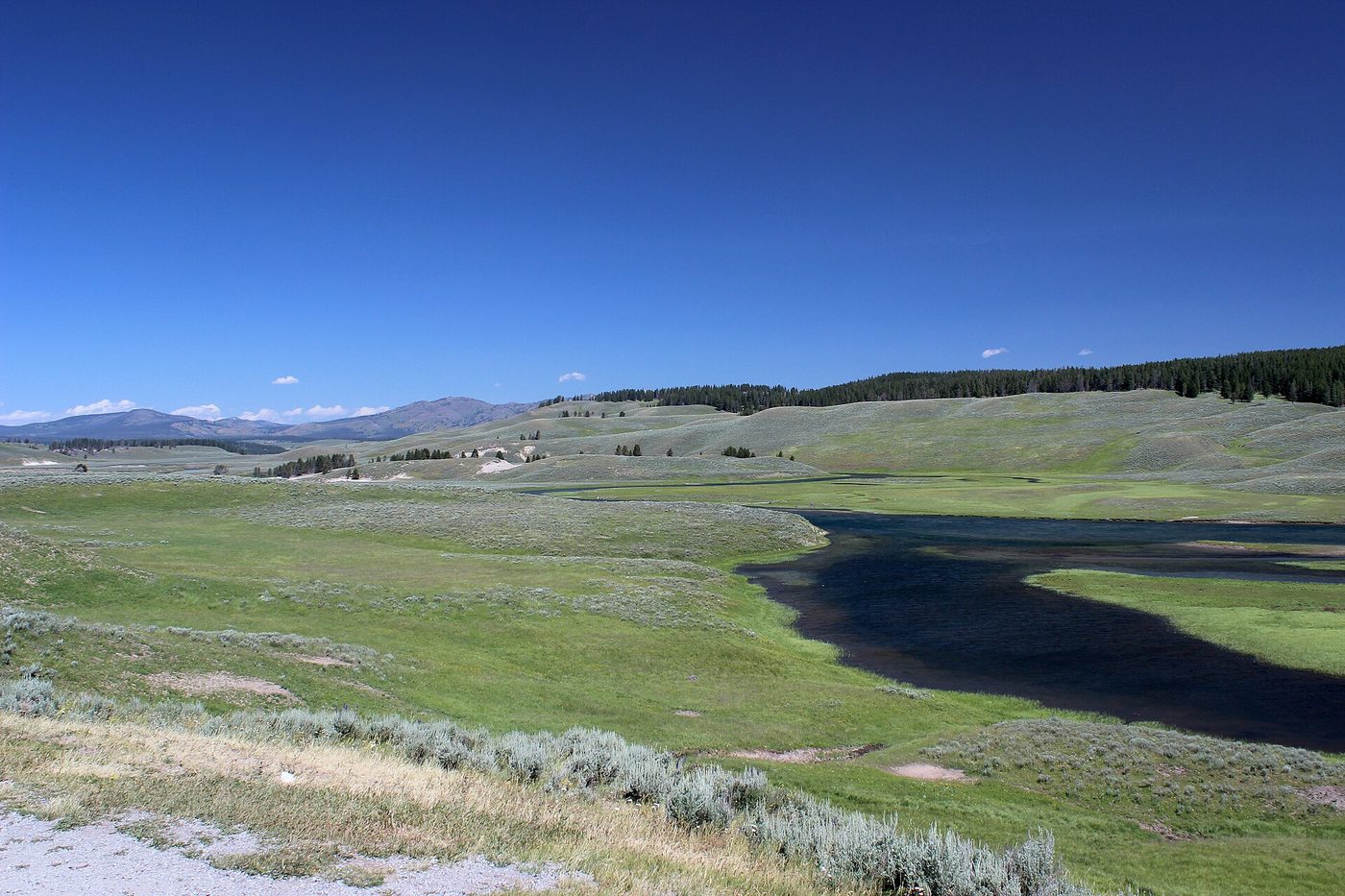 The Yellowstone River winding through the open sagebrush meadows of Hayden Valley