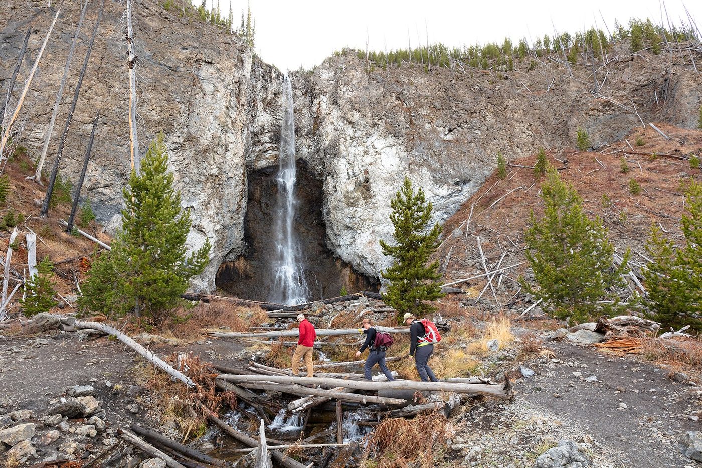 Hikers crossing Fairy Creek on fallen logs below Fairy Falls amid burned lodgepole pines