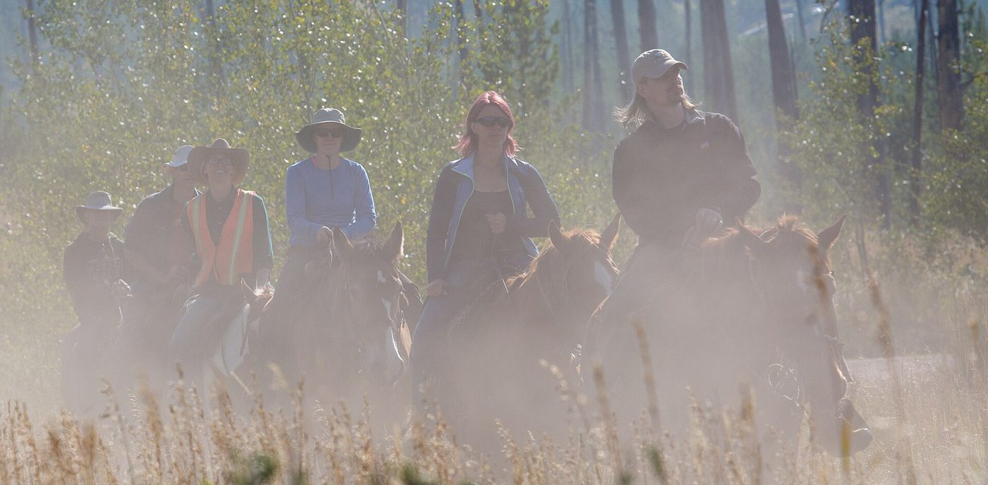 Line of horseback riders on a dusty trail through aspens
