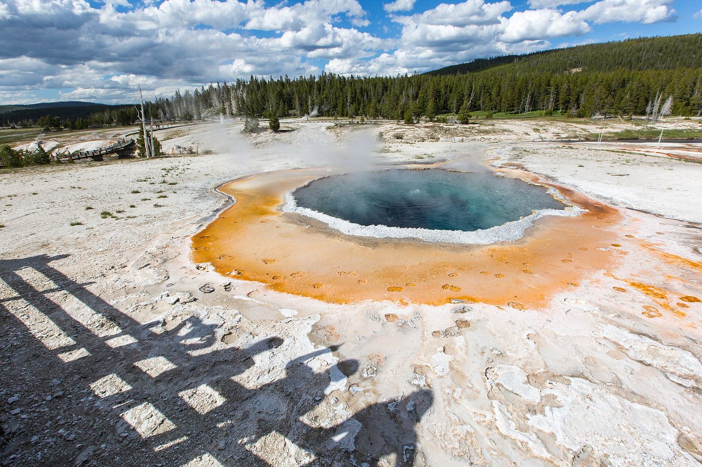 A deep blue hot spring rimmed with orange bacterial mat directly beside a park road