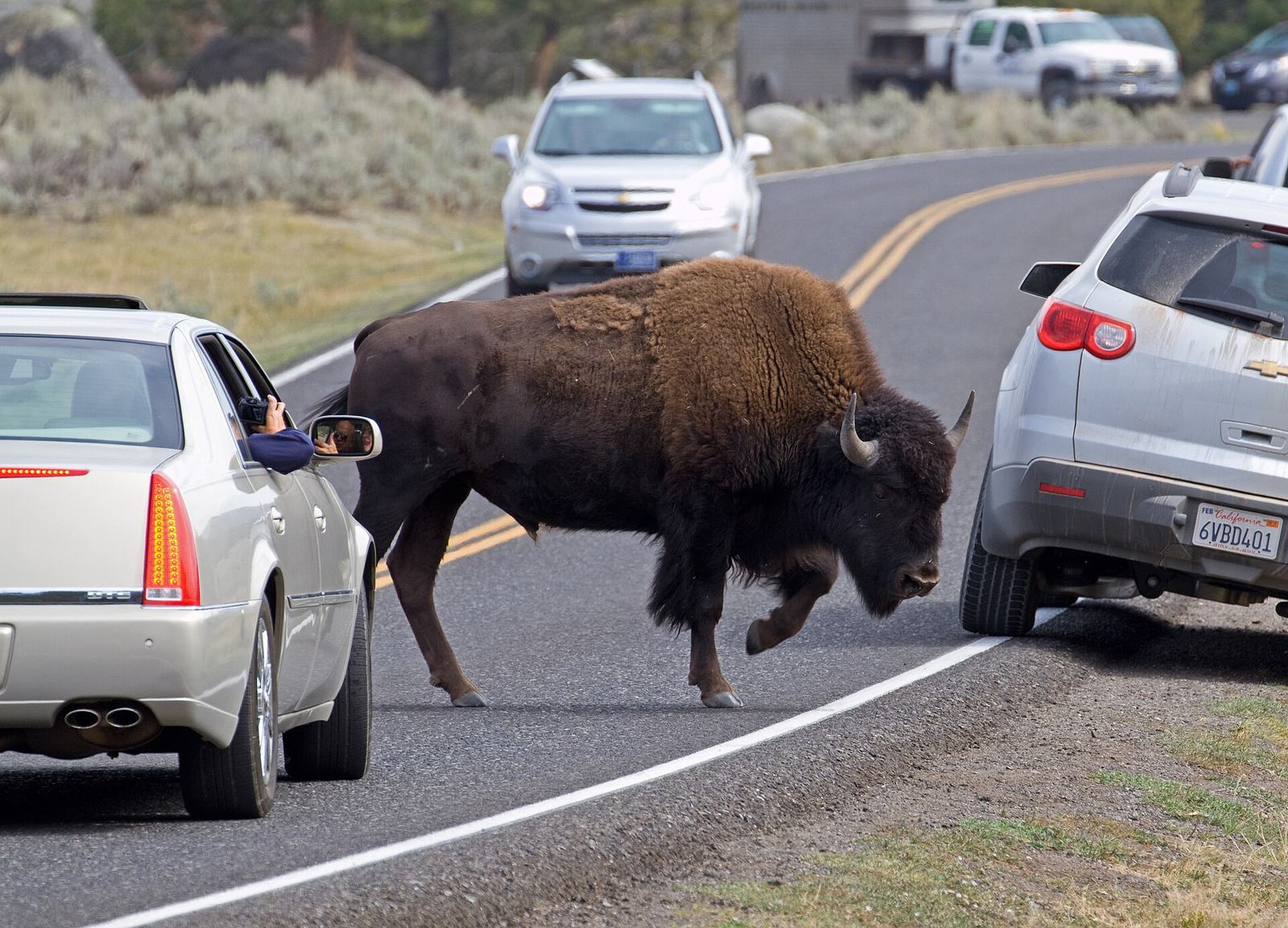 How to Get to Yellowstone: Every Airport, Drive and Shuttle Option Compared