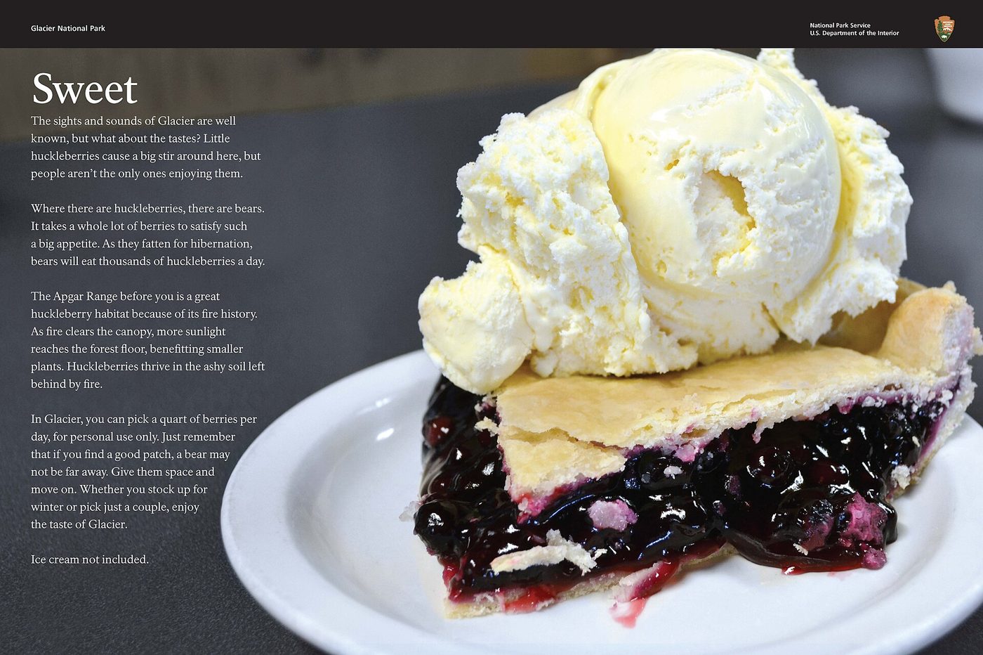 A slice of huckleberry pie topped with a scoop of vanilla ice cream