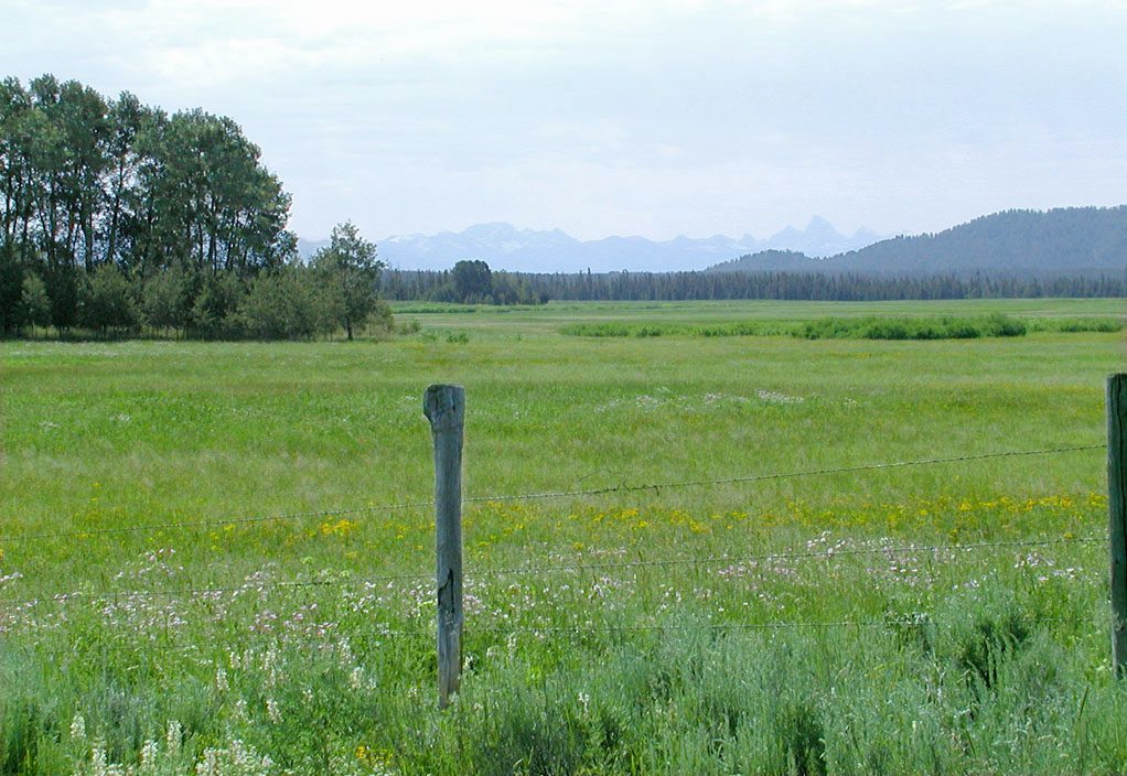 A green meadow with a fence post and distant jagged peaks on the horizon in Island Park, Idaho