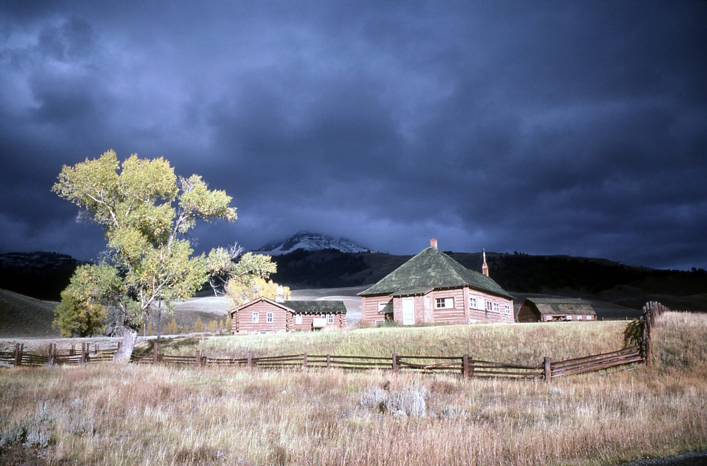 The Lamar Buffalo Ranch buildings and a cottonwood tree under a dark stormy sky