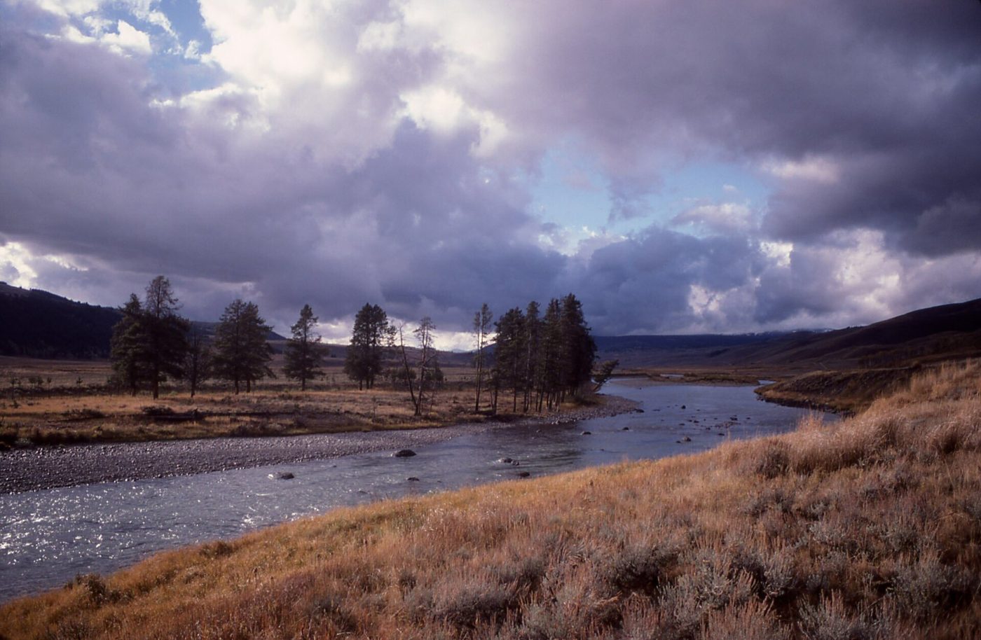 The Lamar River curving through a wide grassy valley under dramatic clouds