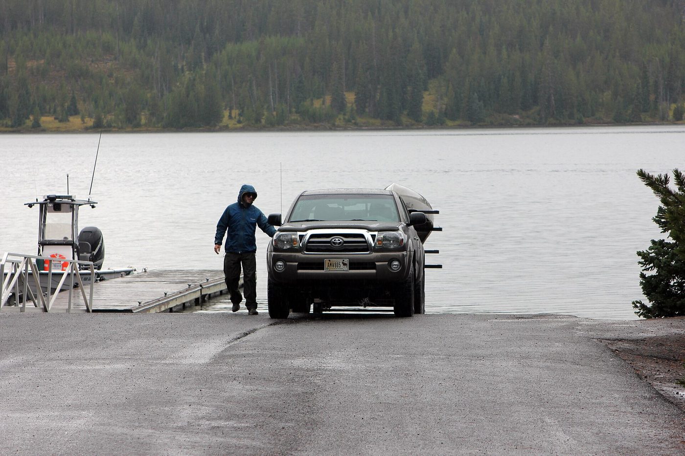 Angler backing a pickup and boat trailer down the ramp into Lewis Lake