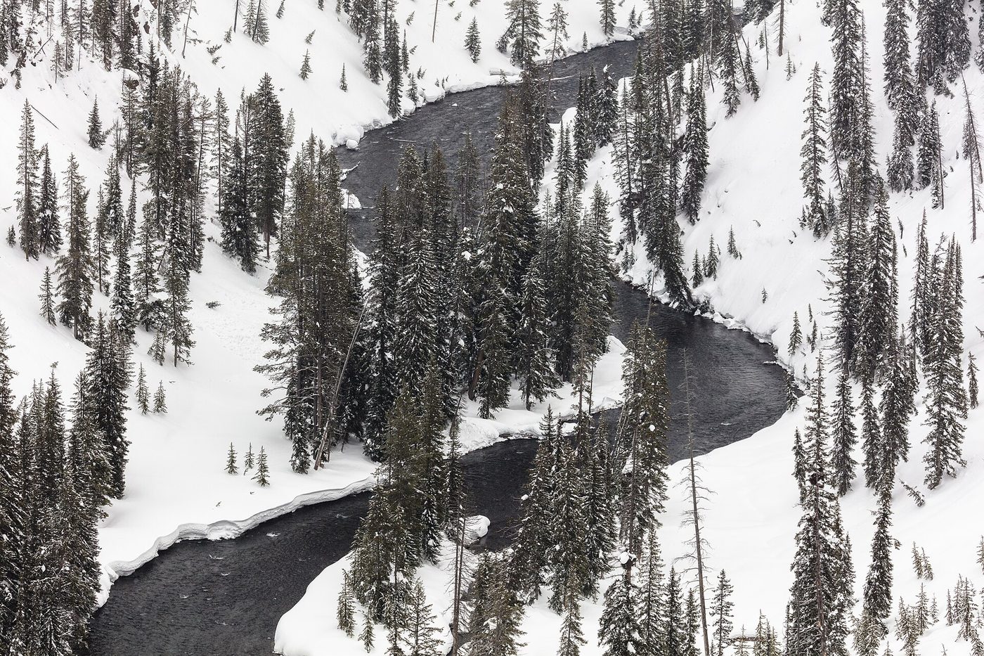 The Lewis River curving through a snow-covered canyon of dark conifers near the South Entrance