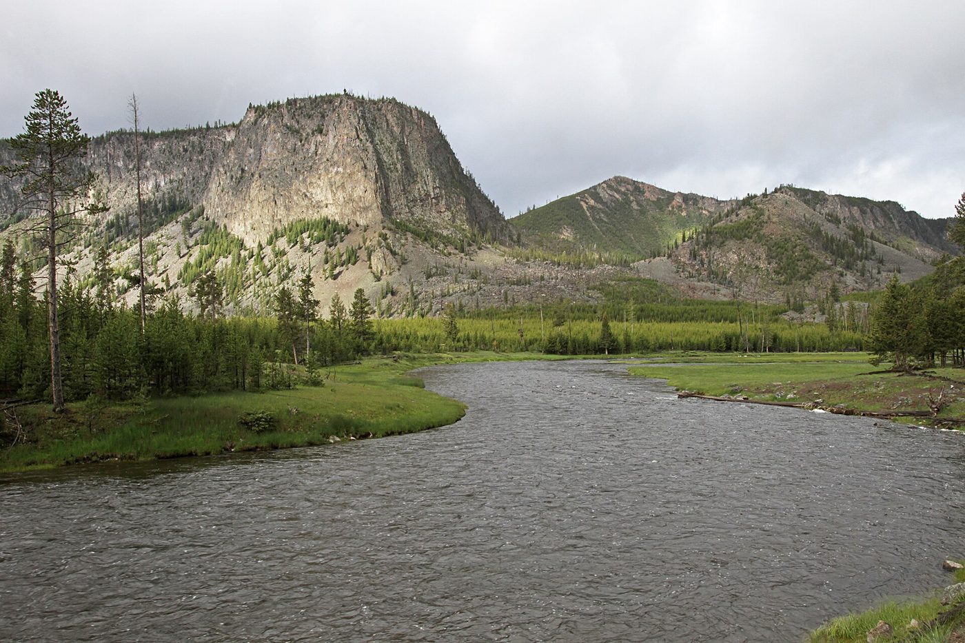 The Madison River curving through green meadows below Mount Haynes