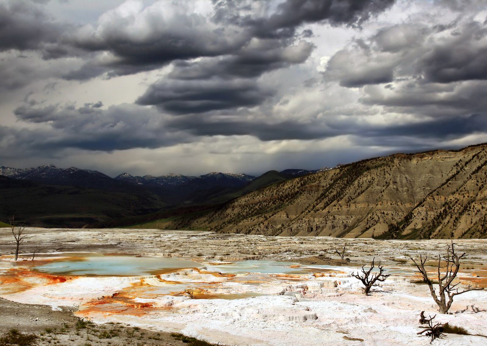 Mammoth Hot Springs: The Complete Guide to Yellowstone’s Travertine Terraces and Mammoth Village