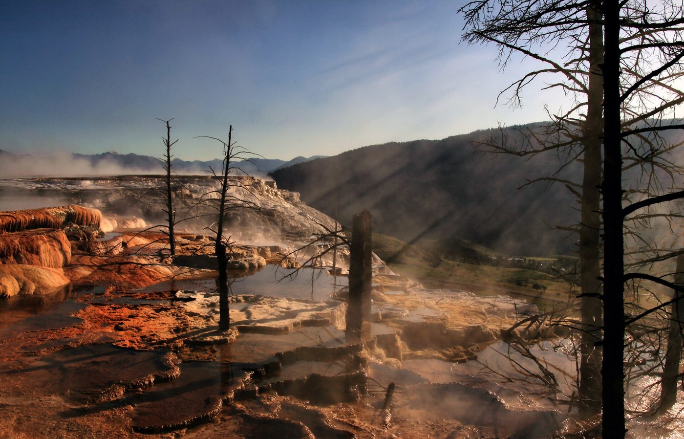 Sunbeams through steam over orange travertine terraces and bare tree trunks