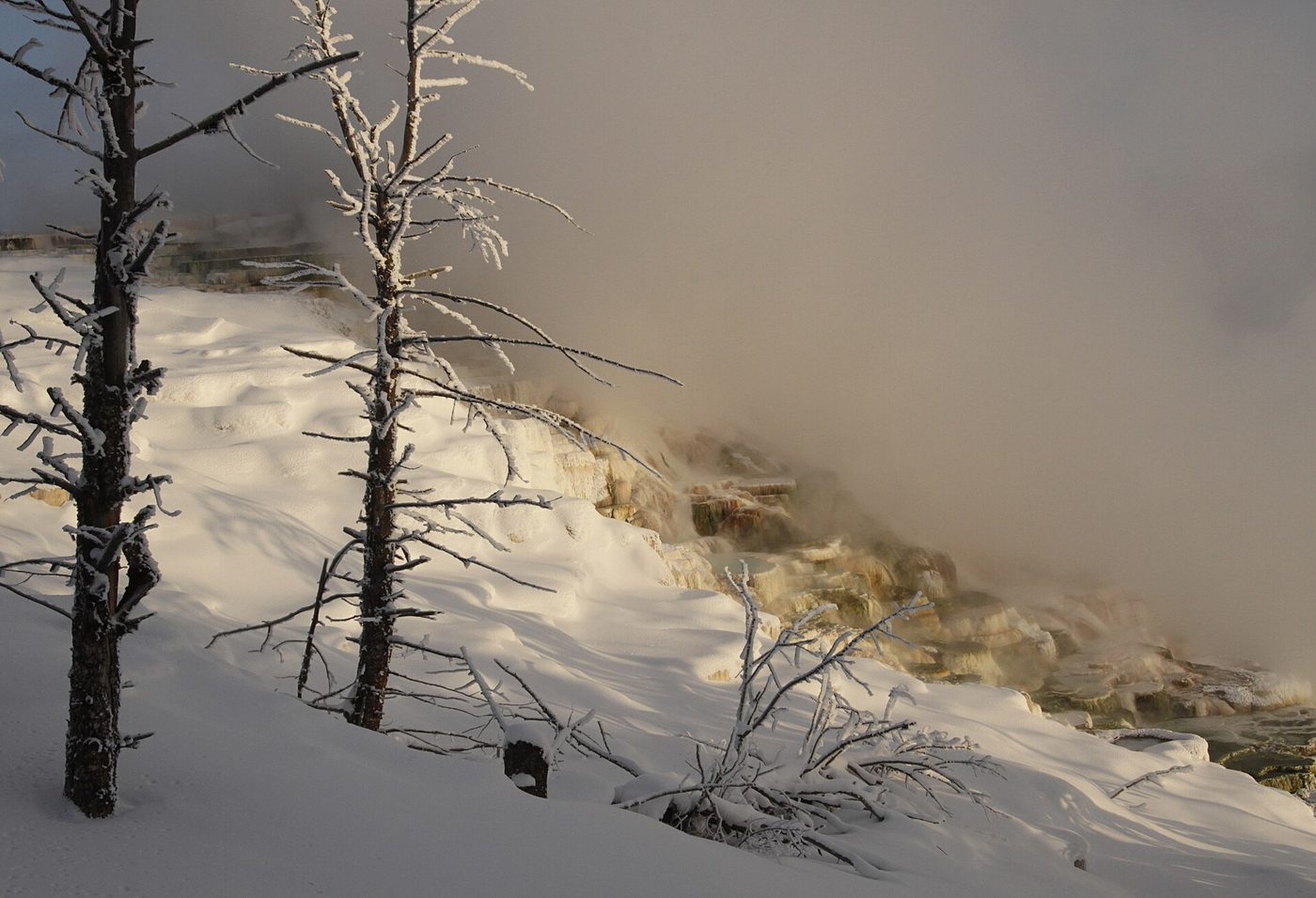Steam rising over snow-dusted white terraces at Canary Spring