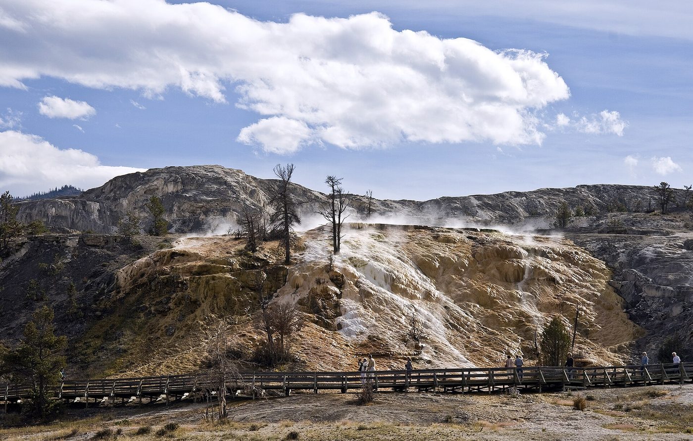 Boardwalks crossing the pale terraces and steam vents of the upper Mammoth Hot Springs