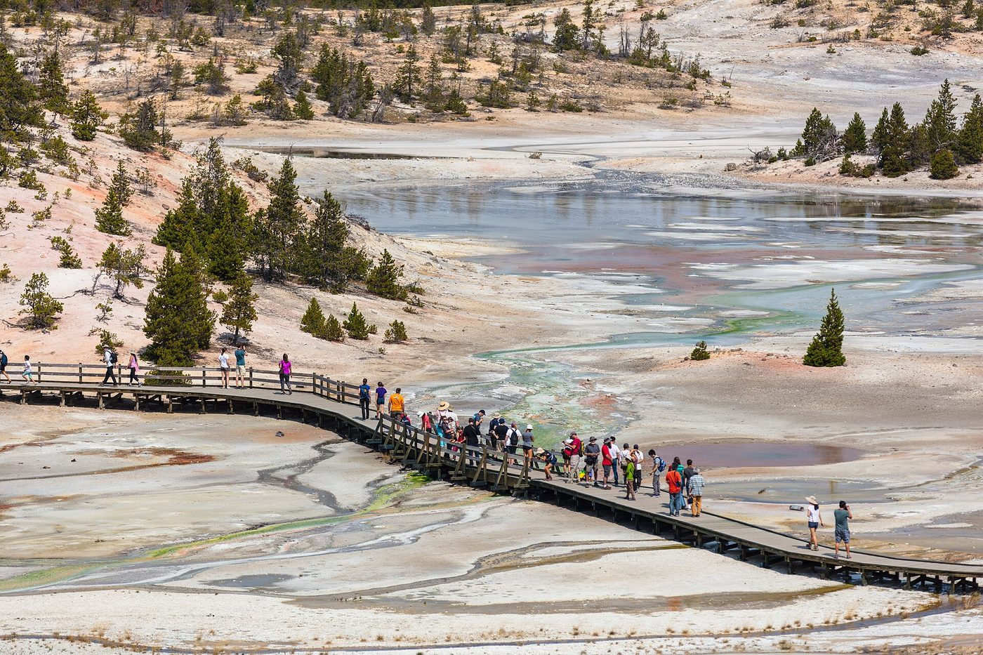 Visitors walking a boardwalk across the pale, steaming thermal ground of Norris Geyser Basin