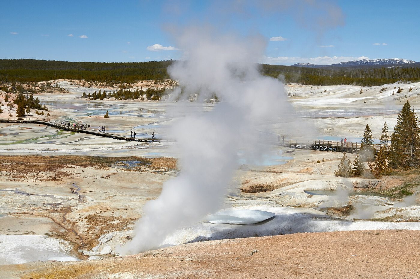 A steam vent beside the boardwalk crossing the bleached white ground of Norris Geyser Basin