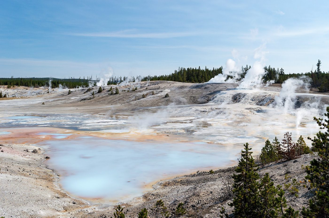 Steam venting from multiple features across the pale ground of Norris Geyser Basin