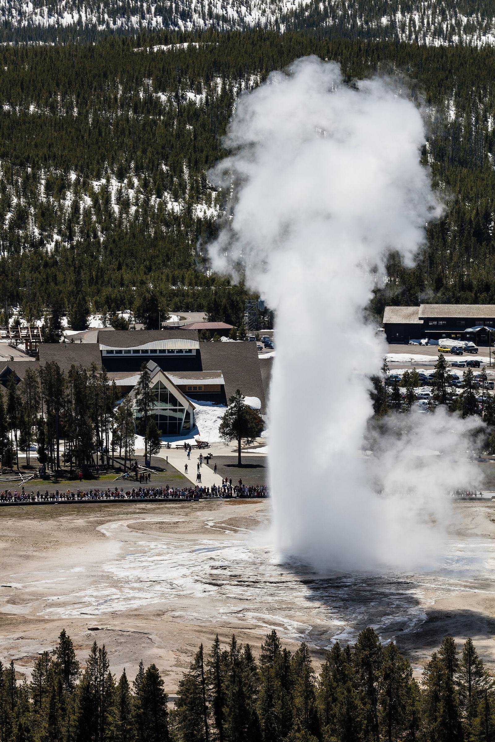 Old Faithful Geyser: The Complete Visitor Guide to Eruptions, Viewing and the Upper Geyser Basin (2026)