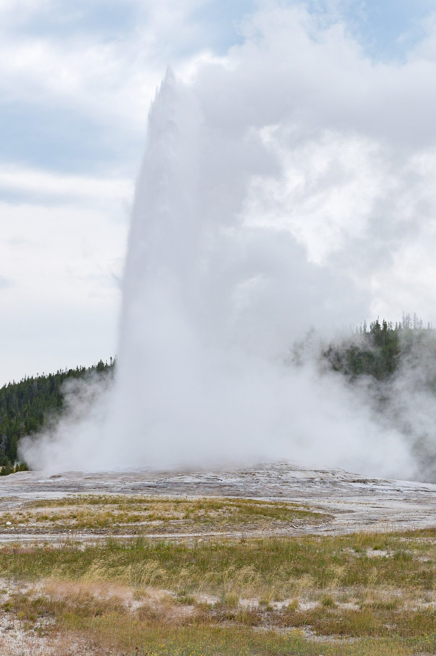A full column of water and steam rising from a white sinter mound on a summer day