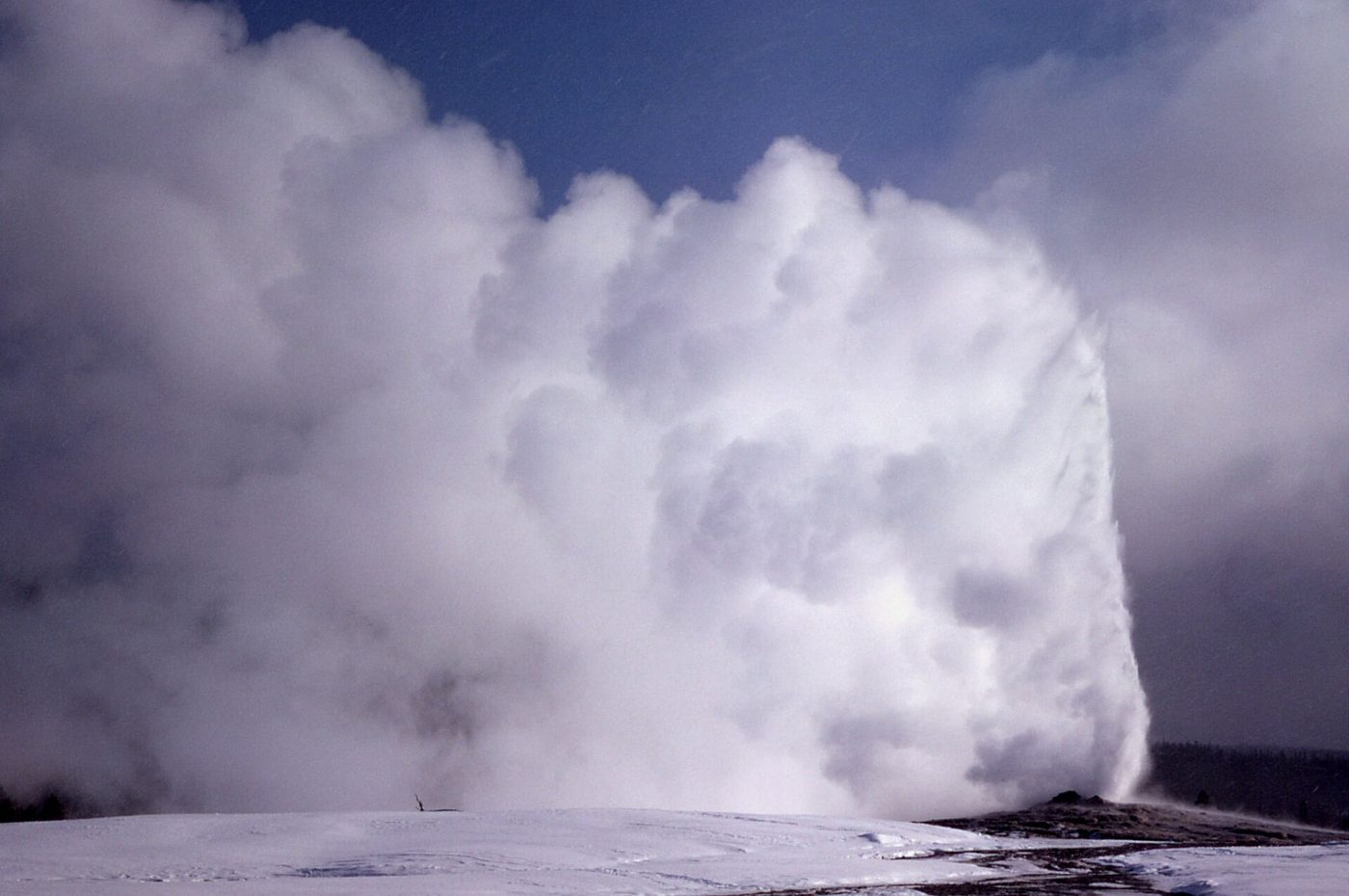 Old Faithful erupting into a huge white steam cloud over snow