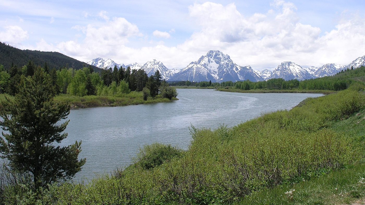 The Snake River curving through green willows toward snowy peaks in early summer