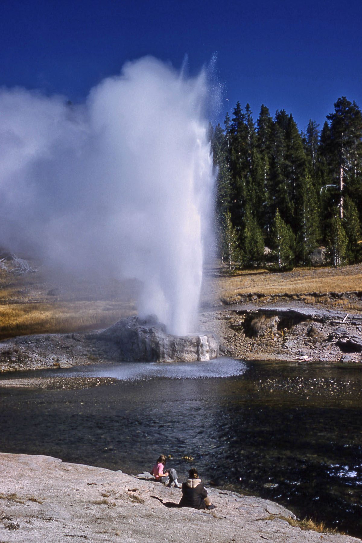 Riverside Geyser arching a spray of water over the Firehole River as visitors watch from the bank
