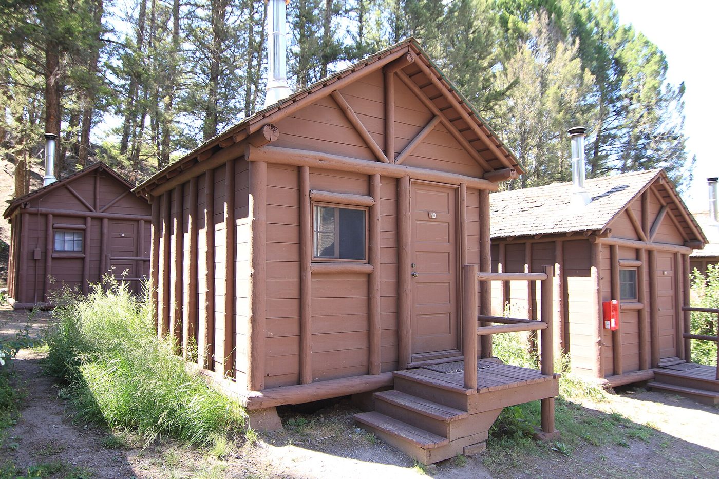 Small brown wooden Roughrider-style cabins among pines at Roosevelt Lodge