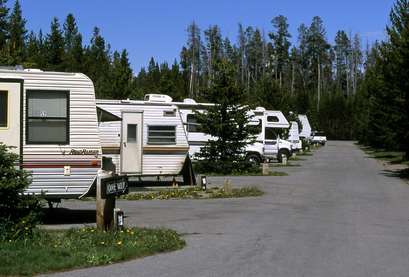 A line of travel trailers parked along a campground loop road in the trees