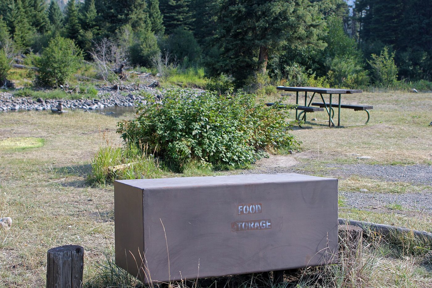 Grassy campsite with a large metal bear-resistant food box and picnic table