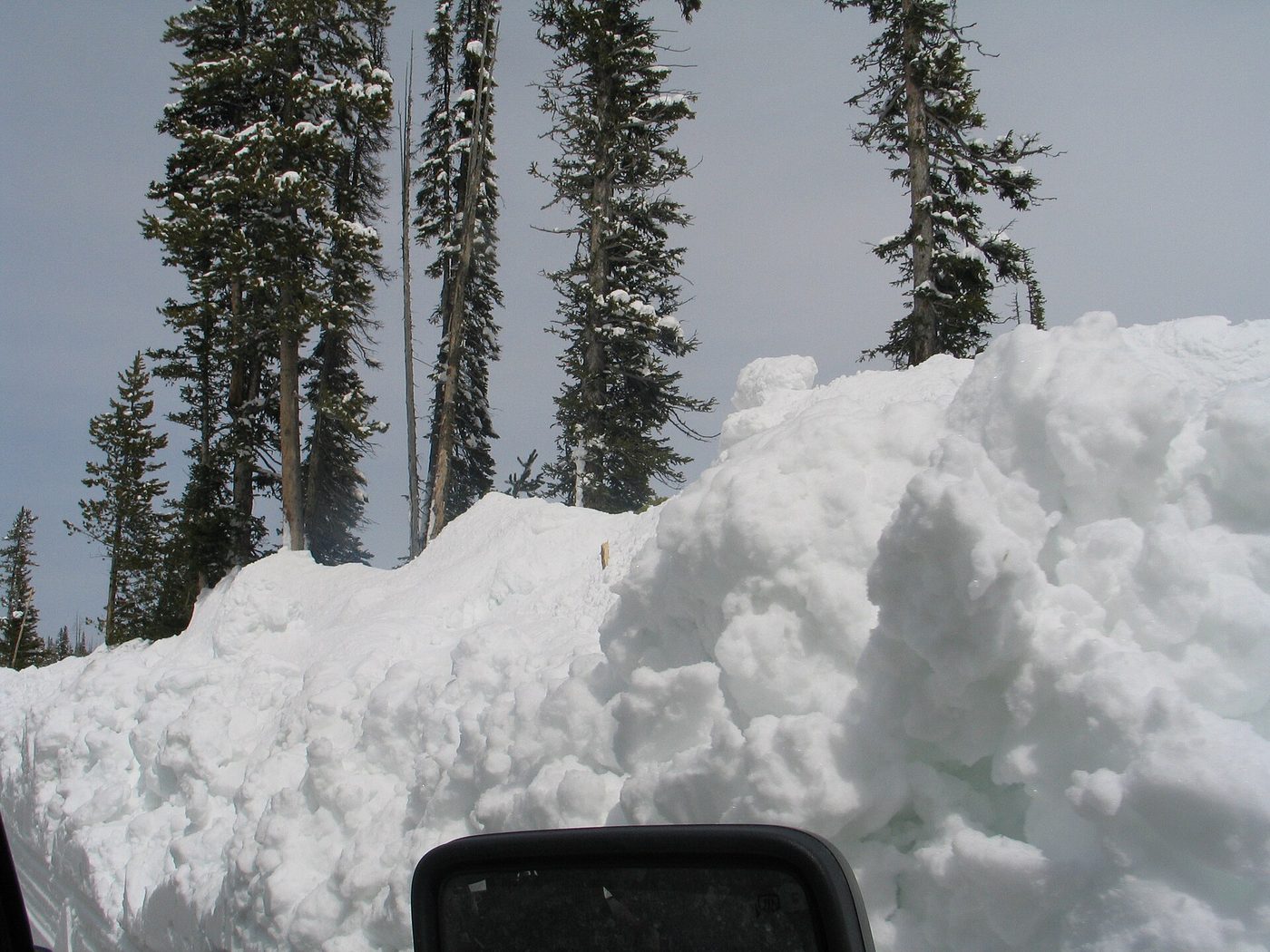 A wall of plowed snow towering beside the road near the Lewis River, seen from a vehicle