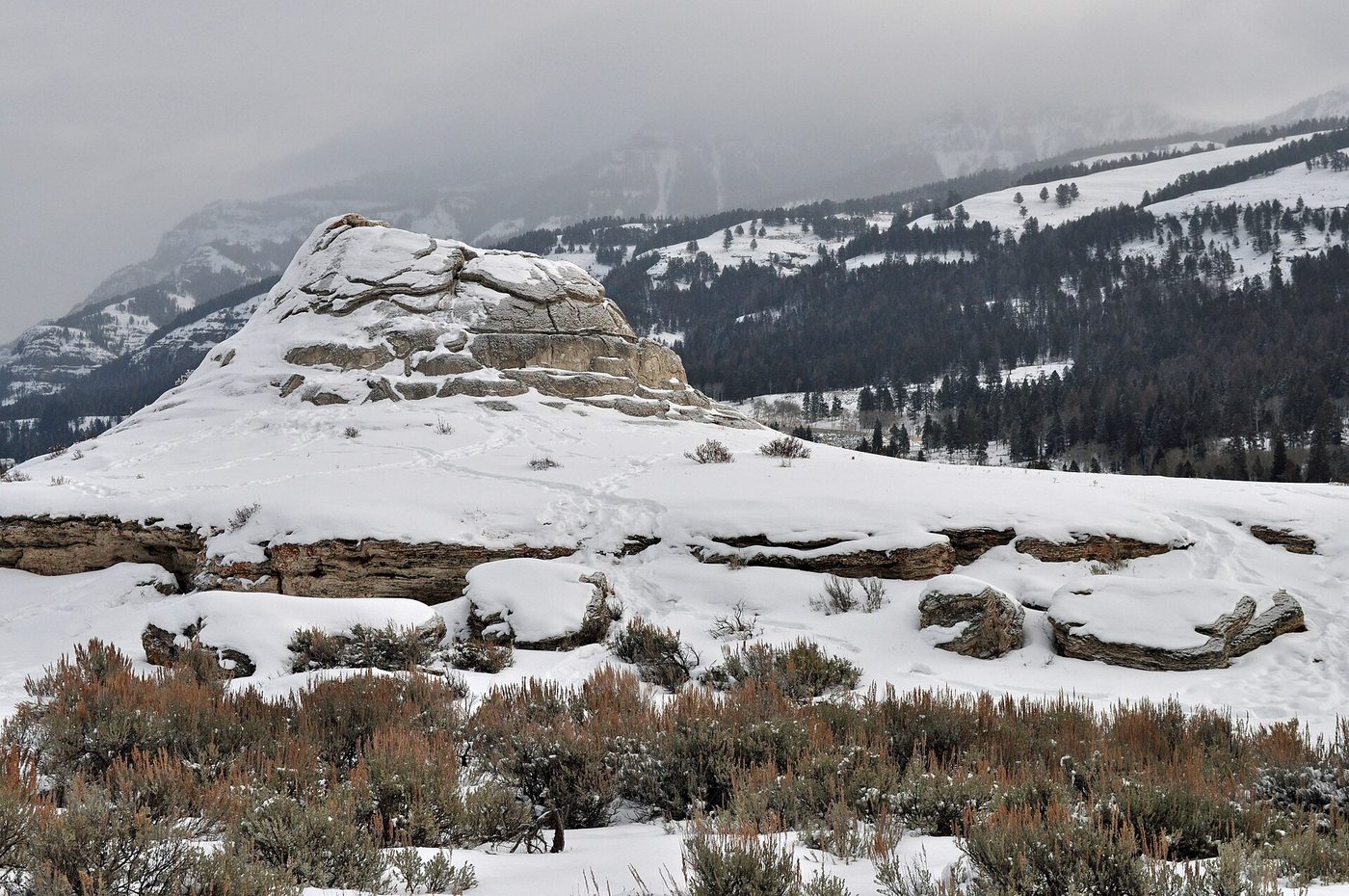 Soda Butte, a pale travertine cone, dusted with snow below forested mountains
