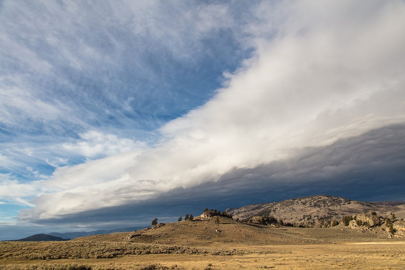 A dark storm front rolling over the tawny grassland of Lamar Valley under a wide sky