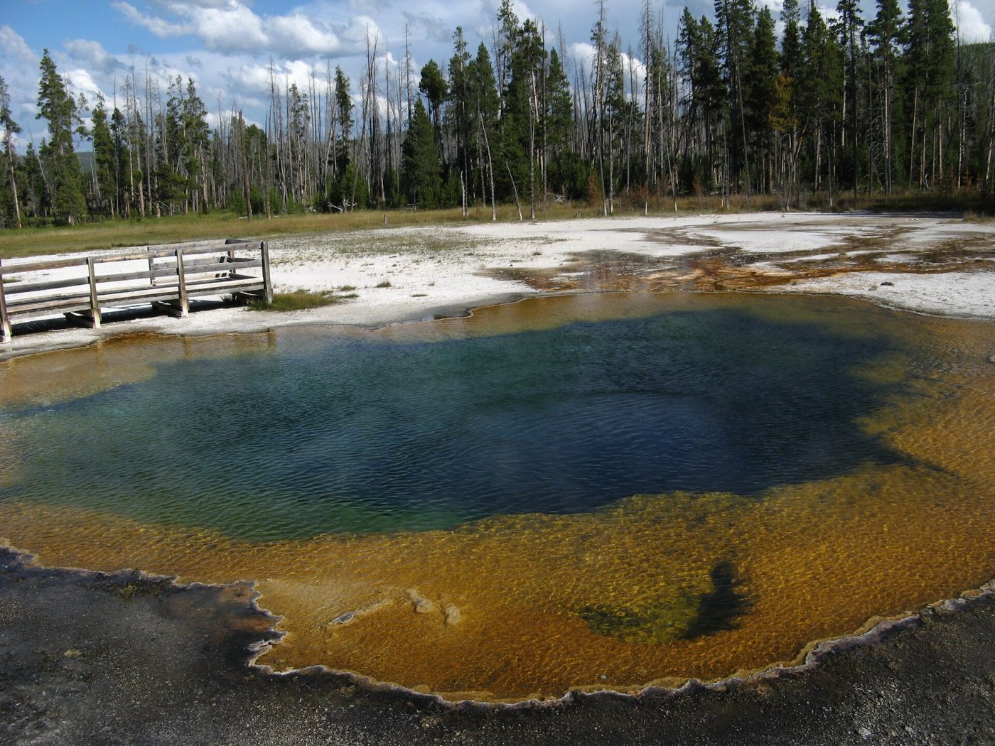 A blue hot spring ringed with orange microbial mats beside a boardwalk in Black Sand Basin