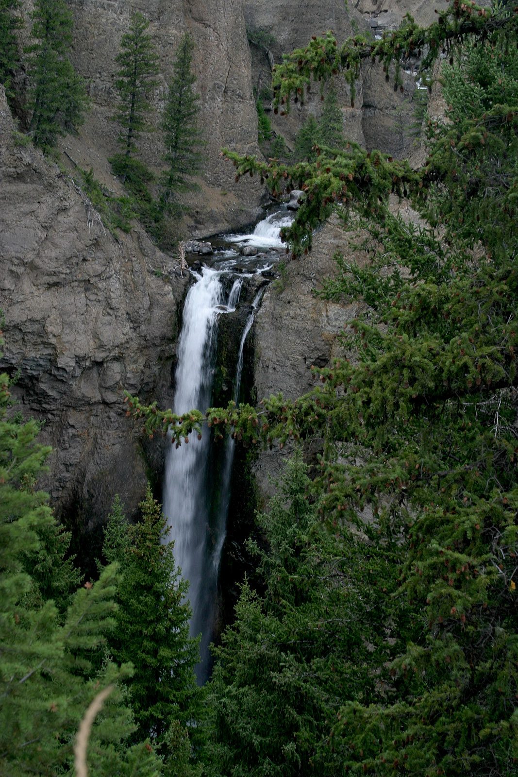 Tower Fall dropping in a narrow white ribbon between dark rock walls and pines