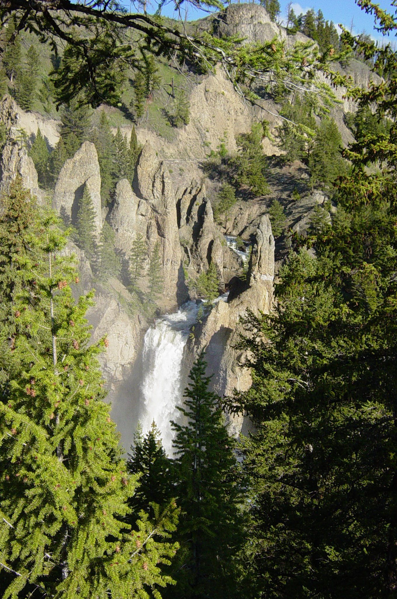 Tower Fall dropping between eroded volcanic pinnacles, seen through pine trees from the overlook