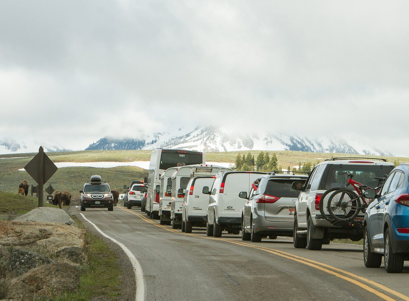 A long line of cars and a tour bus stopped on a two-lane road with snowy mountains behind