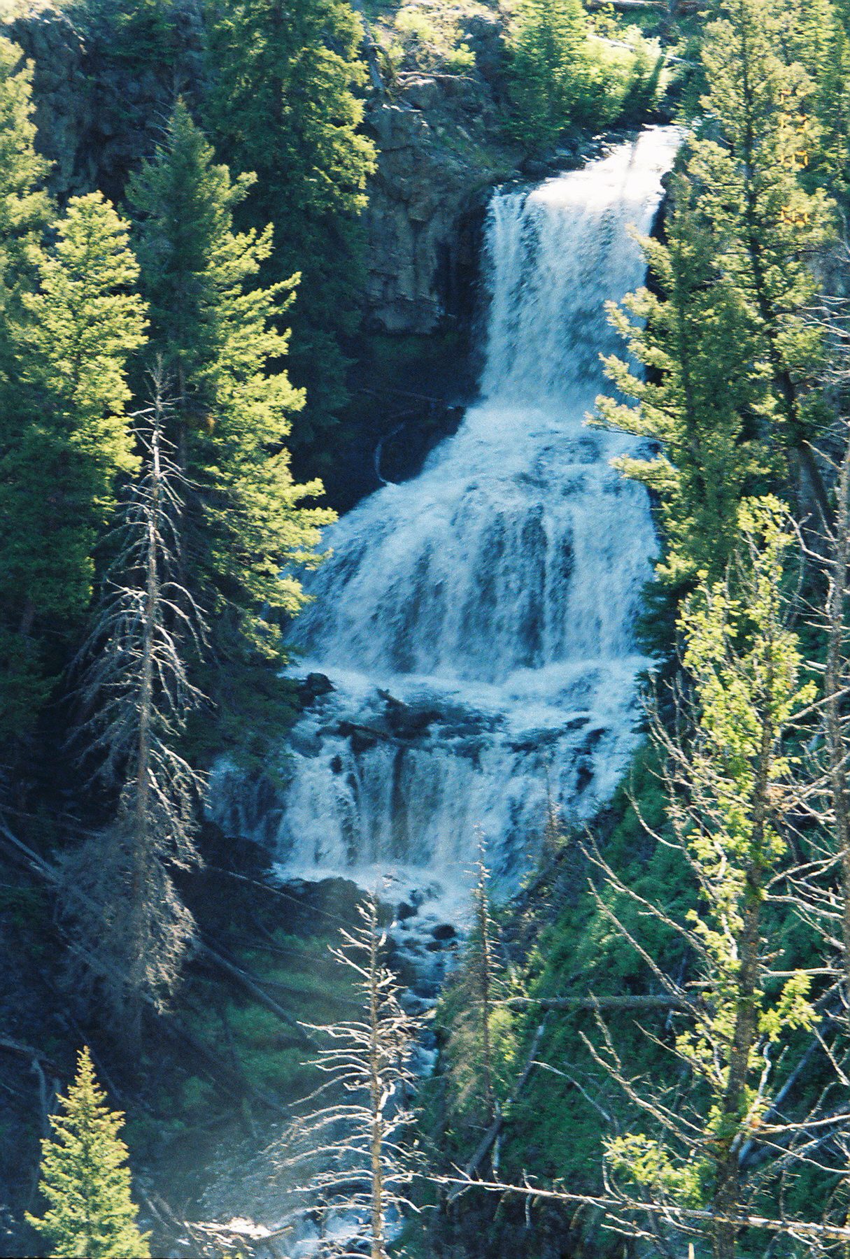 Undine Falls dropping in three tiers through conifers on Lava Creek near Mammoth Hot Springs